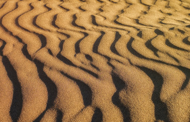 Golden sand dunes