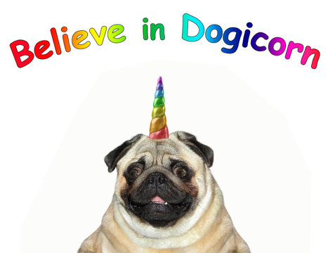 The head of the dog unicorn . Believe in dogicorn. White background.