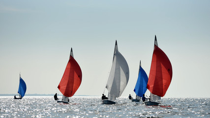 Fototapeta premium Regate voile 505