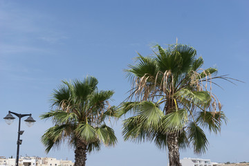 Fototapeta premium Typical street view of Valletta in Malta