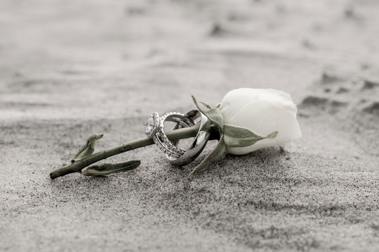 Antique subdued color photo of wedding rings on rose on the beach.