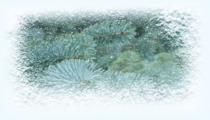 Winter fir tree covered with snowfall banner background