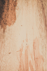 wood texture background