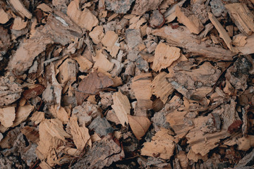 dry cracked earth