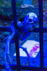 Skelett mit Totenkopf hängt an einem Metallgitter zu Halloween