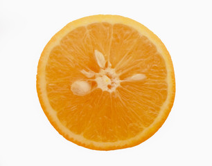 Oranges With White Background