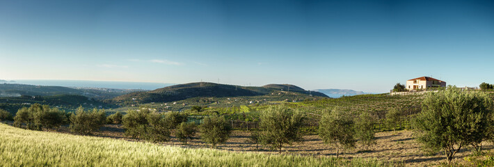 Fields and house with mountains in backdrop Crete Greece Europe