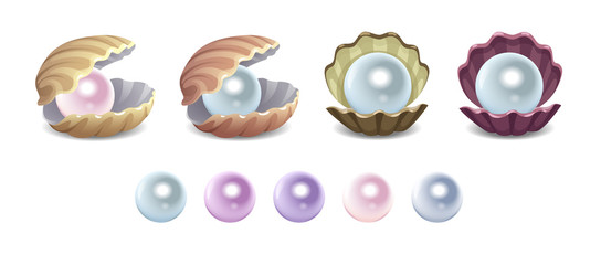 vector set of opened seashells with pearls isolated