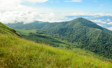 Fototapeta na wymiar fresh green field on top of the mountain at Monjong, Chiang Mai, Thailand