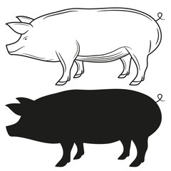 Set of silhouettes of pigs, Vector illustration.