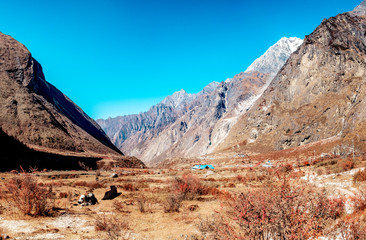 Nepal Langtang valley