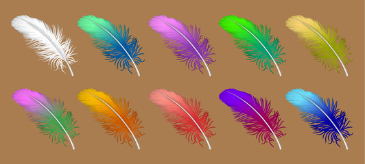 Fototapeta na wymiar vector set of down, feather, Swan's down, goose feathers, chicken feathers, parrot feathers, plumelet