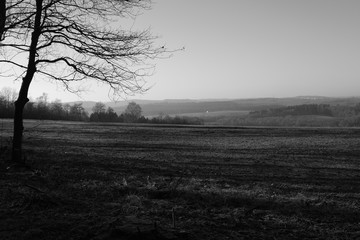 Fototapeta premium Siegerland in Südwestfalen zur Winterzeit