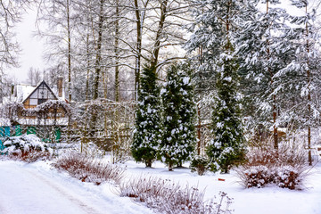Winter sketches. Fluffy snow on houses, fences and other buildings.
