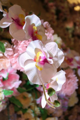 Fototapeta na wymiar Close up of flower wedding decoration in wedding day 