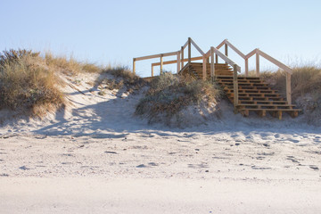 Wooden stairway on white sand beach with grass. Ocean coast landscape. Footpath on white sand and wooden outdoor stairs. Vacation and summer holidays background. Sunny day on seacoast. Stairs in dunes