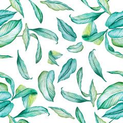 Hand-painted watercolor pattern. Poster with green  leaves