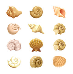 vector set of Colorful tropical shells underwater icons