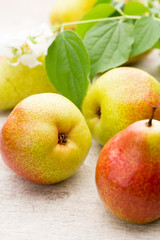 Fresh pears with leaves in a on wooden background.