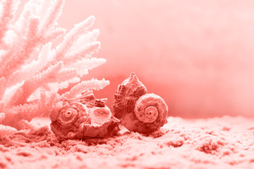 Living Coral Farbe des Jahres 2019. Trendige Farbe. © gitusik