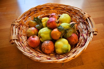 Basket of quince, pomegranates and persimmon, Tirana,  Albania