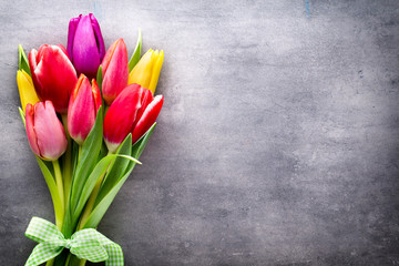 Tulips on the grey background.