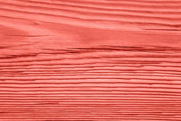 Vintage living coral wood texture. Abstract background.