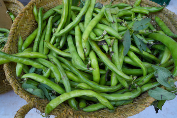 Broad beans from mediterranean in basket