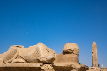 Kleine Sphinx