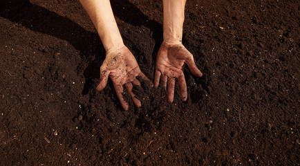 Farmer man hands dirty on substratum