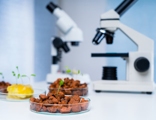 Modern Laboratory .Vegetables in hydroponics tech picks.