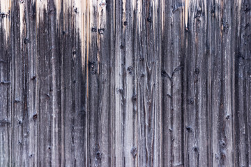 Wood texture. The surface of the gray natural wooden background for design and decoration interior and exterior.