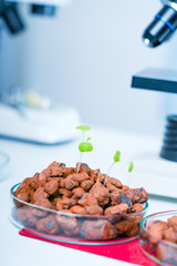 Modern Laboratory .Vegetables in hydroponics tech picks.