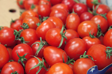 fresh tomatoes on the market