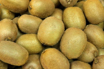 pile of kiwi. kiwi background