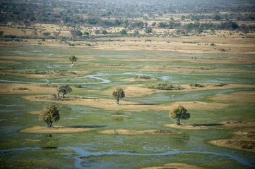 Fototapeten aerial view of okavango delta © tinopepe
