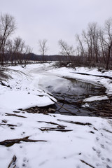 Minnesota River wetland and woods in winter