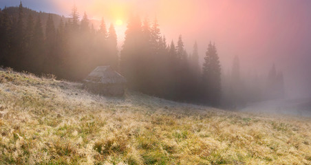 foggy morning in the mountains