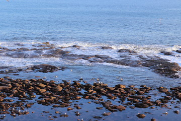 Winter Beach Scene on the North East coast of England rocks, sand and cold North Sea on a bright day