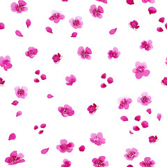 seamless pattern with sakura flowers