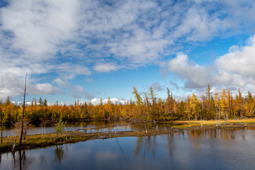 Obraz premium Autumn colored siberian forest with reflections on the lake surface, Norilsk Talnakh