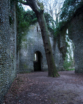 nside the ruins of Somerton Church on a winter's day