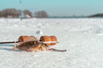 Tackle for ice fishing.