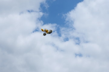 balloons congratulations