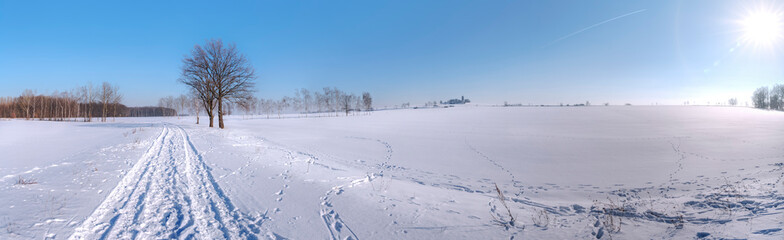Fototapeta na wymiar panorama picture of a cold winter landscape