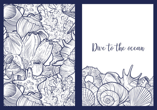 vector backgrounds with seashells