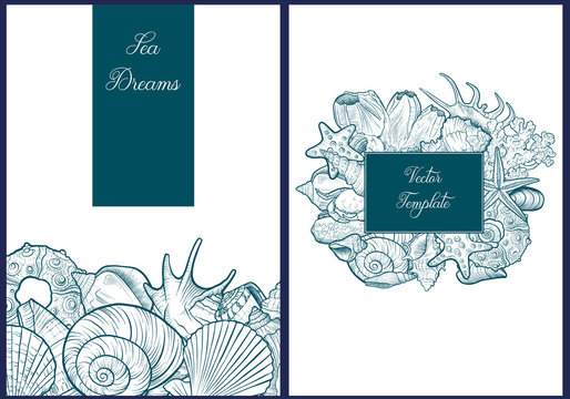 vector backgrounds with seashells