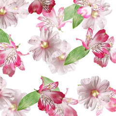 Beautiful floral background of pink Alstroemeria and mallow 
