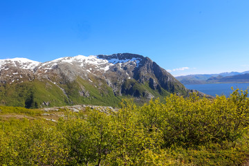 Fototapeta na wymiar Andalshatten mountain landscape in Brønnøy municipality, Nordland county
