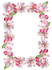 Frame of pink Alstroemeria and mallow 